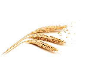 buy online background